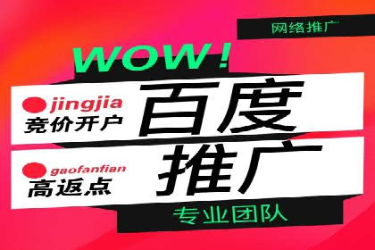 行业领先企业如何通过SEM运营提升ROI